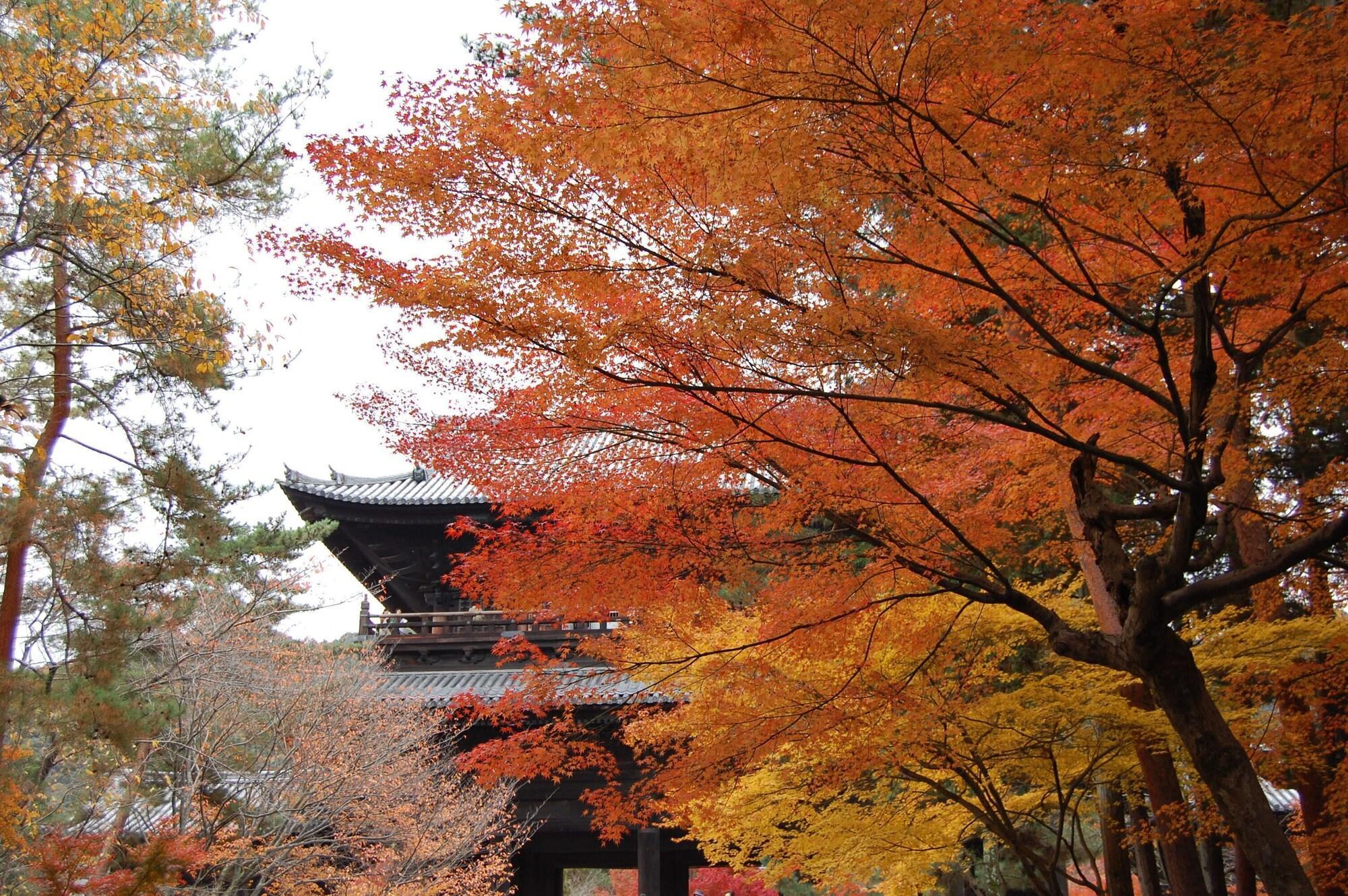 Hotel Keihan Kyoto Ekiminami Eksteriør bilde